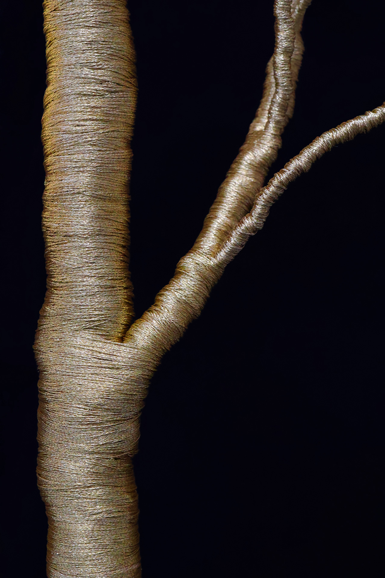 Arbor | Détails des matières  Laiton, cannetille, lurex.  Retrouvez Arbor en entier dans les précédentes publications.
Sculpture brodée de fils métalliques - pièce unique.
.
.
.
.
.
.
#broderiemetallique #broderiedart #savoirfaire #artisanatdart #petipalais #musee #paris #artnouveau